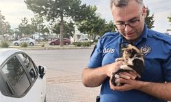 Polislerden Yavru Kediye Kurtarma Operasyonu