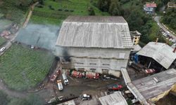 Rize'de Çay Fabrikasında Korkutan Yangın
