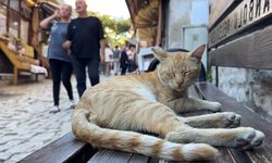 Safranbolu'nun Tarihi Sokaklarında Turist Yoğunluğu