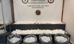 Samsun'da Uyuşturucu Operasyonunda 130 Bin Sentetik Ecza Hapı Ele Geçirildi