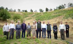 Şemdinli'de Üzüm Hasadı Coşkuyla Başladı