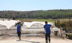 Seydikemer'de yangının yaraları bir günde sarılmaya başlandı