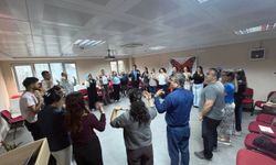 Sinop'ta Sosyal Hizmet Personeline Psikososyal Destek Eğitimi Verildi