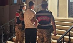 Siverek'te 5 Yıl Hapis Cezasıyla Aranan Şahıs Jandarma Tarafından Yakalandı