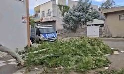 Siverek'te etkili olan fırtına, tarlada çalışan işçilere zor anlar yaşattı