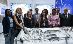 Su Ürünleri Sektörü Geleceğini Future Fish Eurasia'da Şekillendiriyor