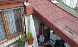 Sultangazi'de Arı İstilası: Hastanelik Olan Kadın ve Aileyi Korku Sarıyor