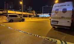 Taksici, Trafik Polisine Ateş Açtıktan Sonra Kendini Vurdu