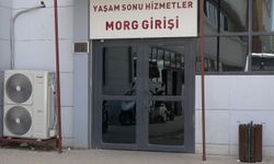 Tarlasında Çalışırken Traktörden Düşerek Hayatını Kaybetti