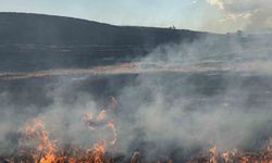 Tekirdağ'da Anız Yangını Korkuttu
