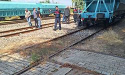 Tren Vagonuna Tırmanan Baba ve Oğul Yüksek Gerilimle Yüzleşti