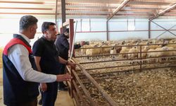 Tunceli'de Kırsal Kalkınma Destekleri Üreticilerin Yanında