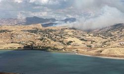 Tunceli'nin Kırsalında Yangın: Ekipler Müdahale Ediyor
