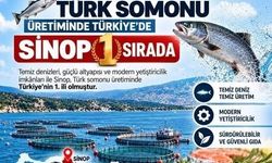 Türk Somonu, Sinop'tan Dünyaya Açılıyor