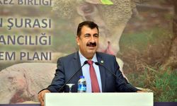 TÜRKYED Başkanı Nihat Çelik'ten Önemli Açıklamalar: Devletin Ekonomik Düzen İçin Mücadelesi Takdir Edilmeli
