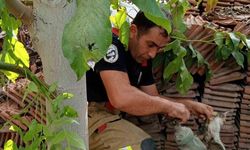 Vanaya Sıkışan Yavru Kedi, İtfaiye Ekiplerinin Çabasıyla Kurtarıldı