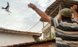 Yaren Leylek ve Nazlı'nın Duygusal Göç Yolculuğu