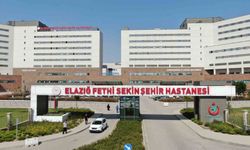 Yol kenarında ağır yaralı halde bulunan polis memuru hayatını kaybetti