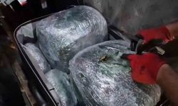 Yolcu Otobüsünde Uyuşturucu Operasyonu: 69 Bin Kişi Tehlikede!