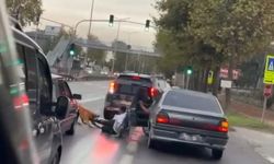 Zinciri Kopan Köpek, Yolda Yürüyen Vatandaşı Isırıp Sürükledi