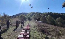 Zonguldak'ta Yaban Hayatı İçin Sülünler Doğaya Salındı