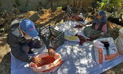 90 Yaşındaki Annenin Evlat Sevgisi, Acı Biberleri Tatlılaştırıyor