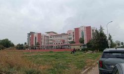 Adana'da Okulda Dedikodu Kavgası: Kız Öğrenci Arkadaşını Bıçakla Yaraladı