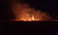Adıyaman'da Endişe Verici Anız Yangını