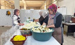 Ağrı'da Ata Tohumuyla Yetişen Lahanalar Kış Sofralarını Şenlendiriyor