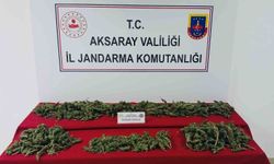 Aksaray'da uyuşturucu operasyonunda 3 kişi tutuklandı