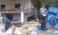 Andırın'da yerli mısır hasadı tamamlandı, güneşte kurutuluyor