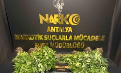 Antalya'da 32 narkotik operasyonunda 28 bin 519 sentetik ecza ele geçirildi
