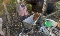 Antalya'da geleneksel üzüm pekmezi yapımında sona gelindi