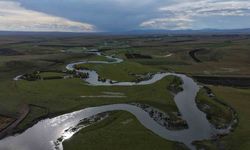 Arpaçay menderesleri Kars'tan Hazar Denizi'ne ulaşıyor