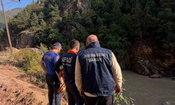 Artvin'de araç dereye düştü, bir kişi hafif yaralandı