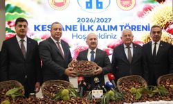 Aydın kestane sezonu başladı, ilk ürün 600 TL'den alındı