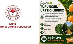 Aydın'da Ekim Ayı İçin Turunçgil Bahçeleri Mücadele Planı Açıklandı