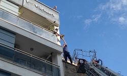 Aydın'da itfaiye ekipleri kaçan kediyi kurtarmak için harekete geçti