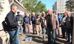Balıkesir'de Zeytin Hasadında Makine Kullanımı Artırılıyor