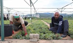 Bingöl'de 72 Dönümlük Fidanlıkta 18 Türde Fidan Üretimi Yapılıyor