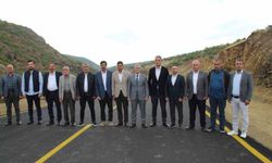 Bingöl'de köy yollarında sıcak asfalt çalışmaları sürüyor