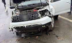 Bingöl'de Otomobilin Ağaca Çarpması Sonucu 2 Yaralı
