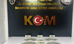 Bodrum'da Sahte Dolar Çetesi Çökertildi: 46 Bin 200 Dolar Ele Geçirildi