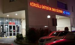 Bolu'da Sinir Krizi Geçiren Birey Kendini Bıçakla Yaraladı