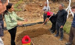 Çelikhan'da Üreticilere 90 Kilogram Salep Yumrusu Dağıtıldı