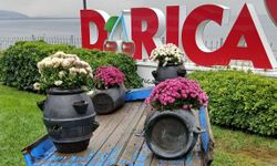 Darıca'daki park ve bahçelerde mevsimlik çiçek dikimi devam ediyor