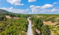 Denizli Büyükşehir, İki İlçeyi Modern Yol ile Buluşturdu