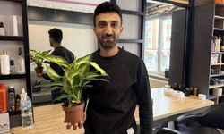 Difenbahya Bitkisi, Çocukları Tehdit Ediyor