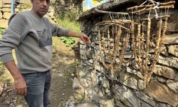 Diyarbakır'ın Çermik ilçesinde geleneksel bağ bozumu başladı