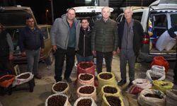 Düzce'de Kuzu Kestanesi Pazarı İçin Vatandaşlar Davet Edildi